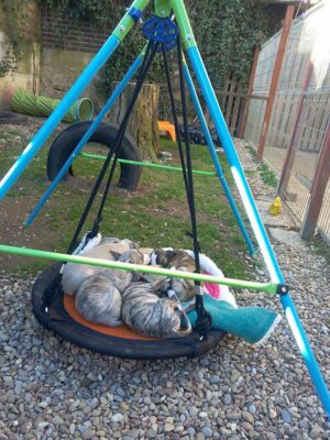 Whipcat Kindergarten