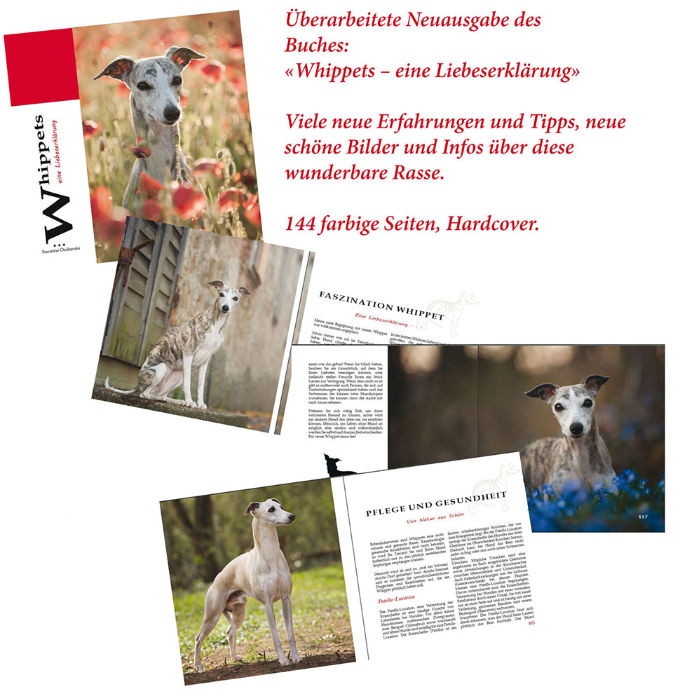 Whippets Buch Poster