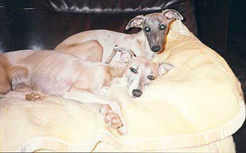 Cindy und Betti