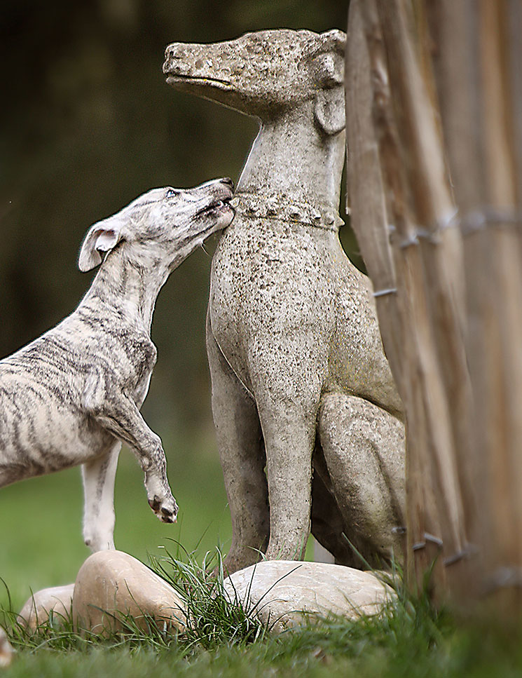 Whippets Figur